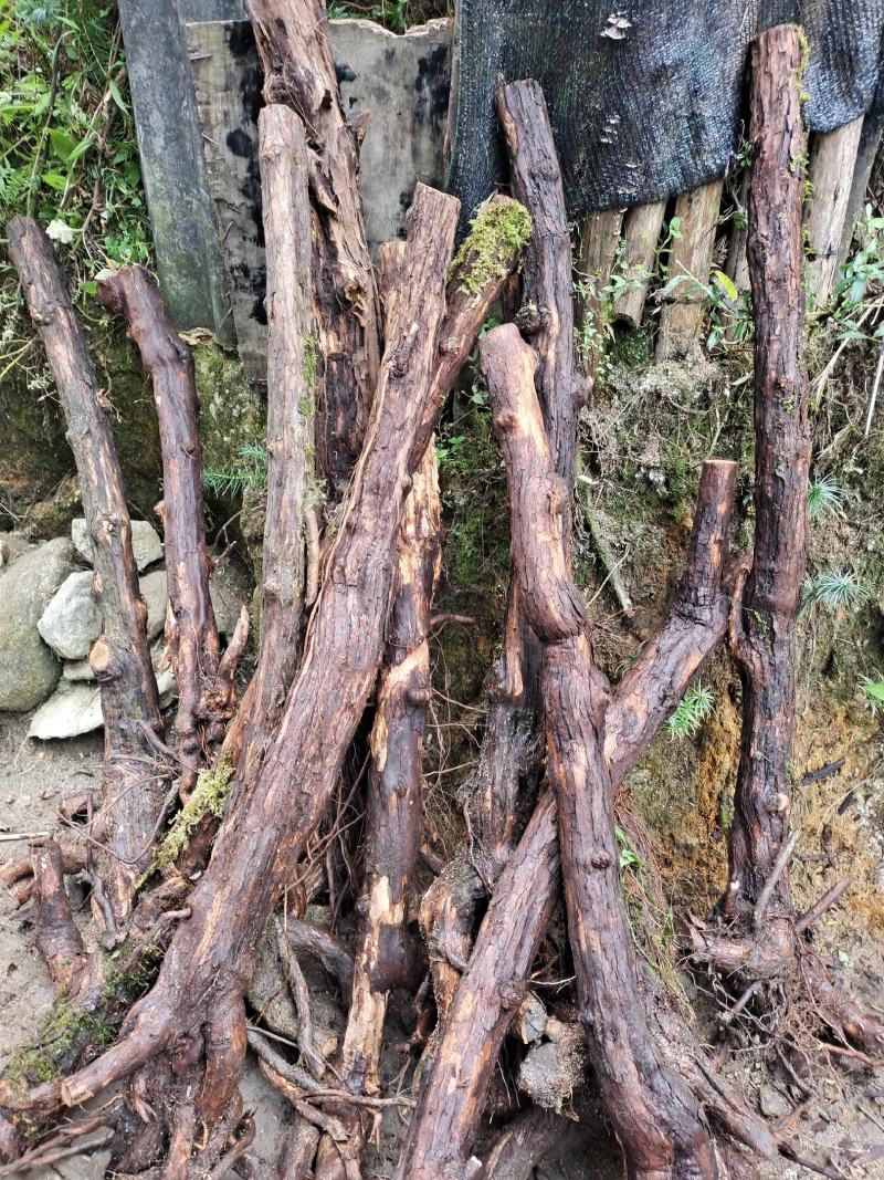 野生山木香根批发，零售