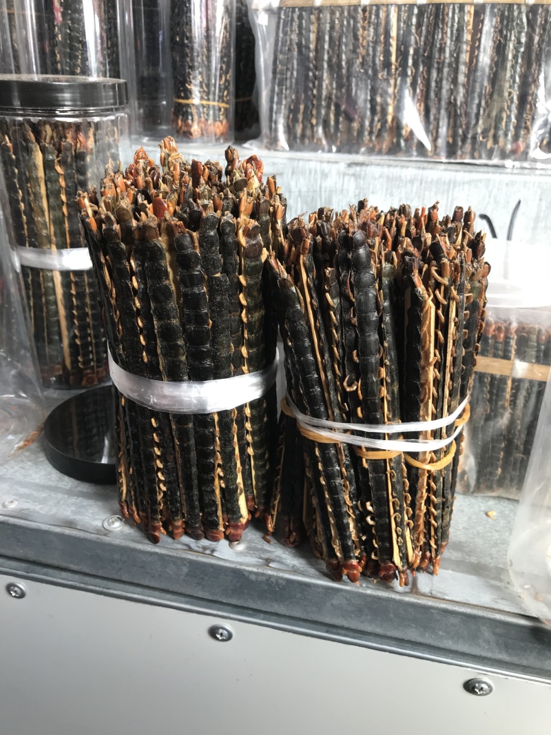 湖北红头蜈蚣质好价优产地直供一手货源