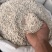 茯苓无硫野生茯苓丁精品茯苓干净无杂质