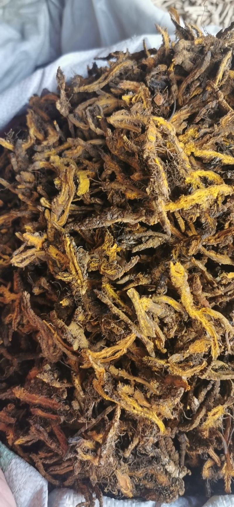 黄连片中药材批发黄莲黄连单支连鸡爪莲