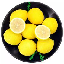 【一件代发】四川安岳柠檬电商供应链安岳柠檬黄柠檬