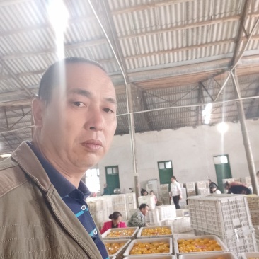 东江湖的普早现在大量降价了
