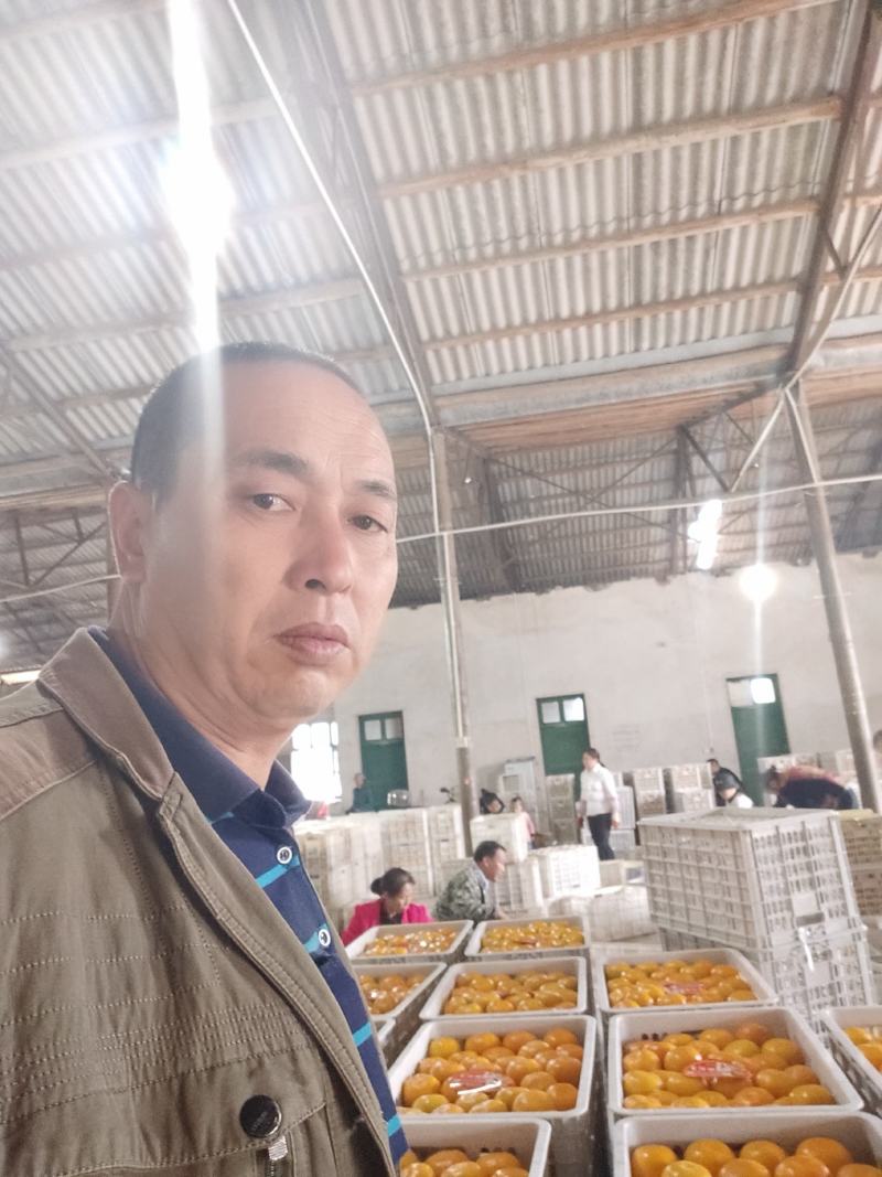 东江湖的普早现在大量降价了