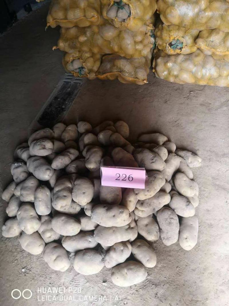 高原夏菜质量好颜色正有需要的联系我