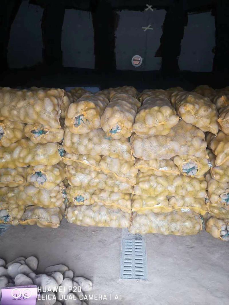 高原夏菜质量好颜色正有需要的联系我