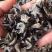 黑木耳东北黑木耳肉厚饱满产地直销量大从优