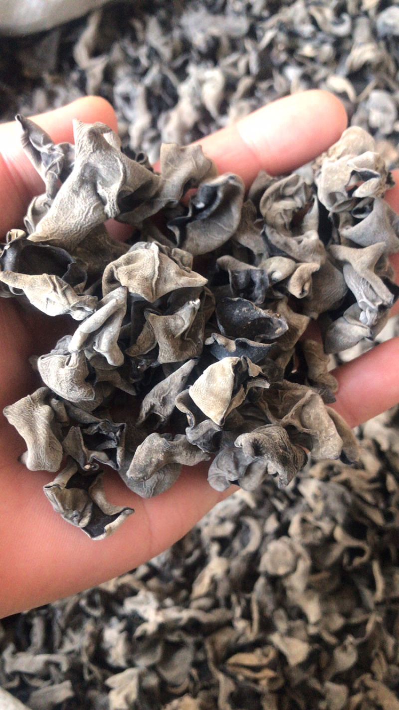 黑木耳东北黑木耳肉厚饱满产地直销量大从优