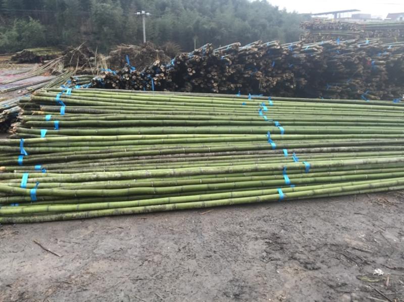 出口转内销长竹竿大棚竹竿养殖搭架长竹竿8米9米10米