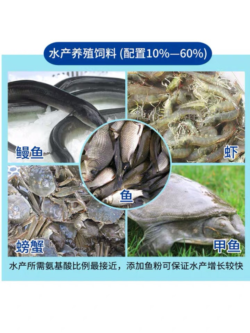 秘鲁原装进口鱼粉批发包邮猪鸡鸭鹅狐狸貉子饲料添加剂