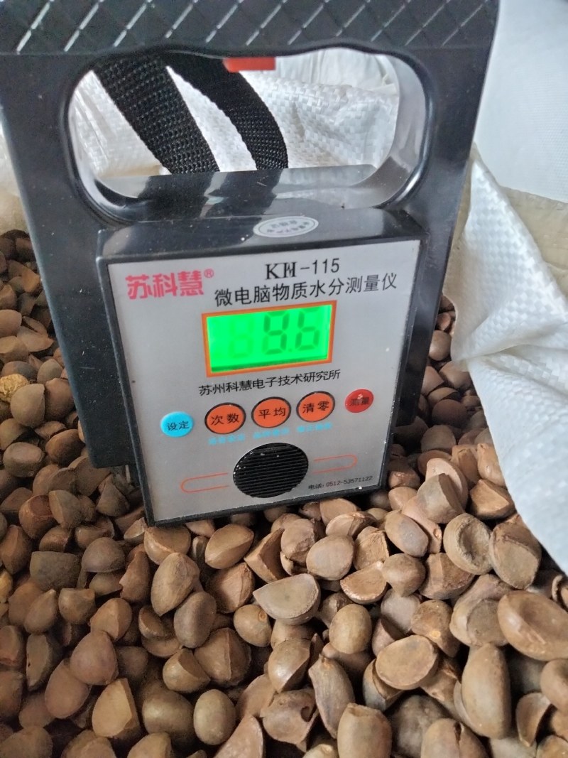 野山茶果干籽，红花茶果，红花油茶果，大量批发零售，