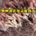 【好货】中国红玫瑰葡萄苗自然无核改良新品阳光玫瑰苗