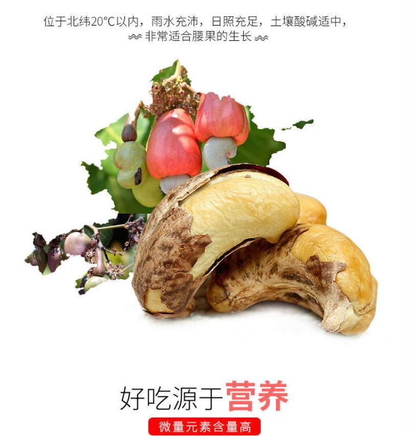 越南腰果炭烧盐焗180VUIVE红标盒装大颗粒新货带皮