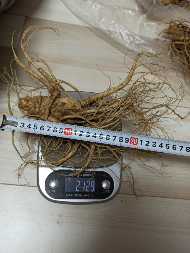【先到先得，数量有限】长白山四两七两新货老参，价格实惠