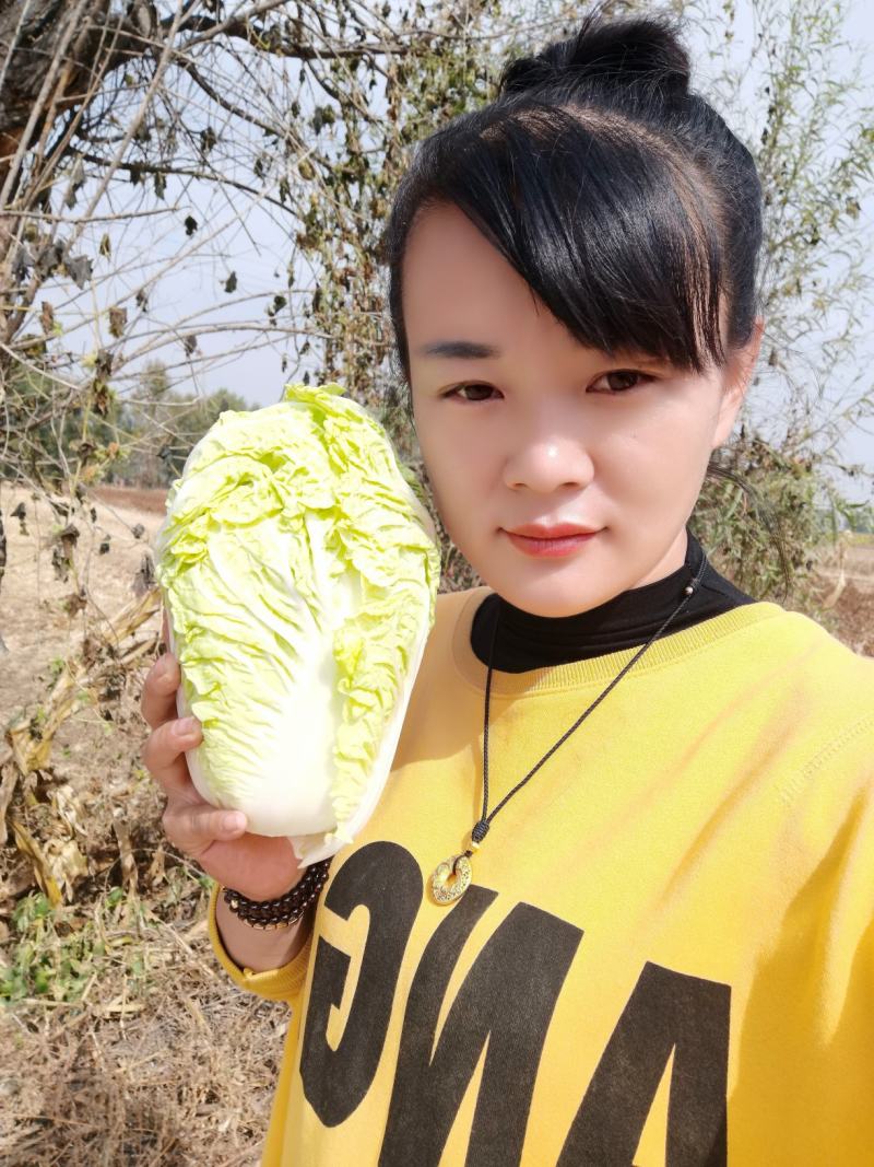 娃娃菜，大量有货，质量保证