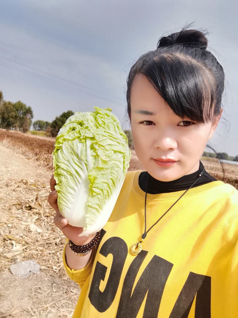 娃娃菜，大量有货，质量保证