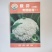 有机花菜种子津莹75有机花菜种子种子四季播种