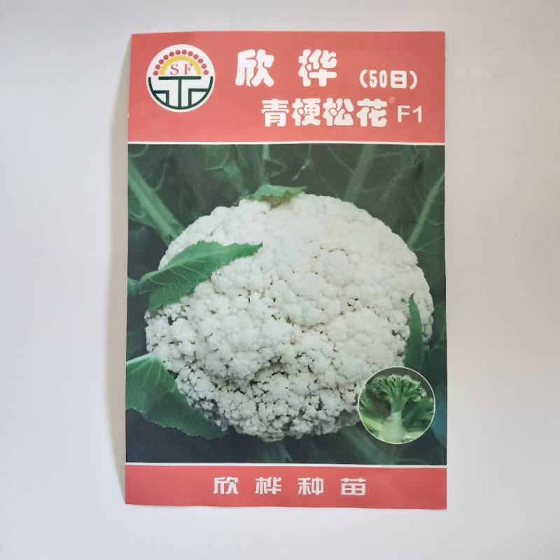 有机花菜种子津莹75有机花菜种子种子四季播种