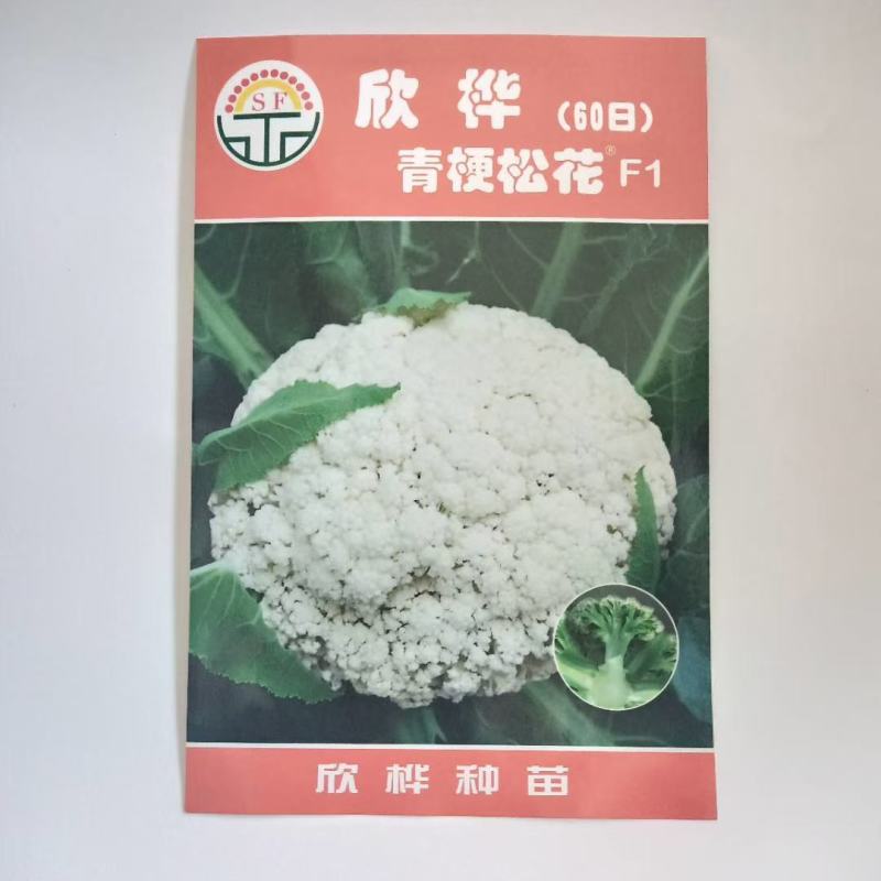 有机花菜种子津莹75有机花菜种子种子四季播种