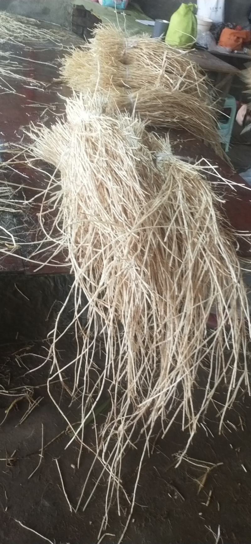 新鲜白茅根每天2吨左右