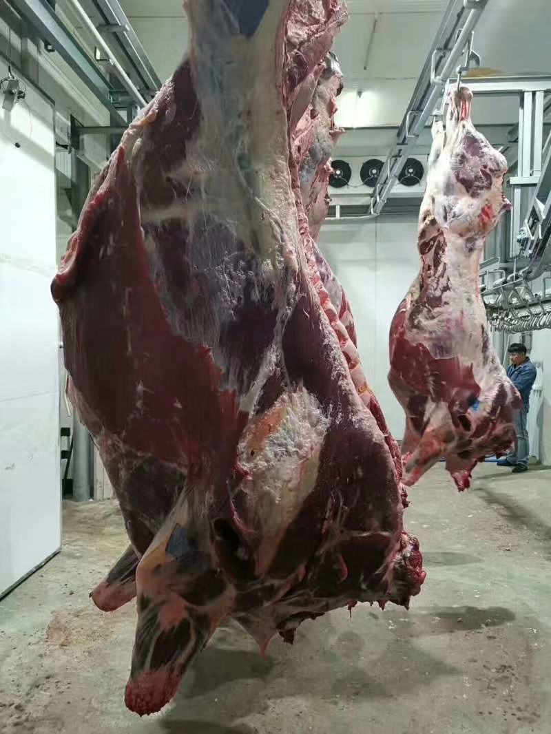 牛腱子，黄牛肉，各种部位都有，纯干无水，全国配送冷链
