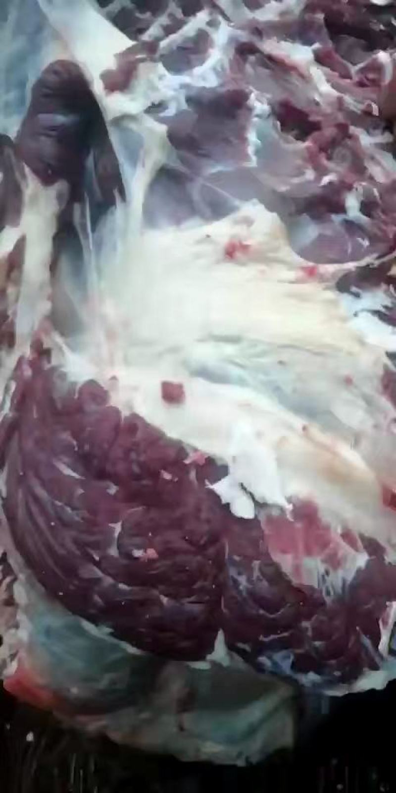 牛腱子，黄牛肉，各种部位都有，纯干无水，全国配送冷链