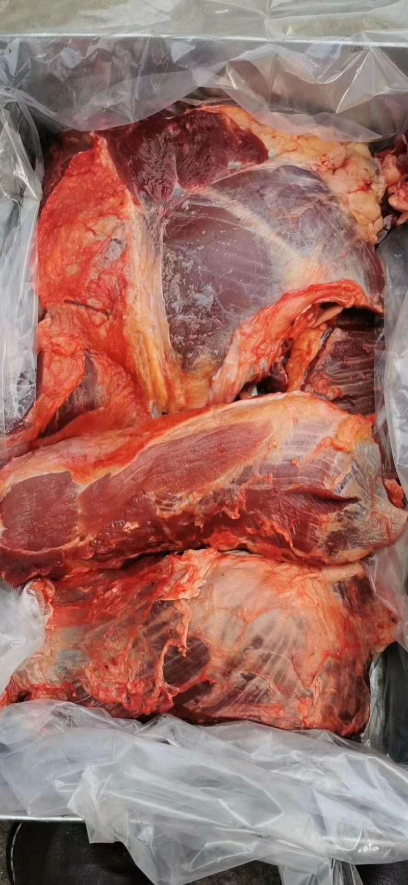 牛腱子，黄牛肉，各种部位都有，纯干无水，全国配送冷链