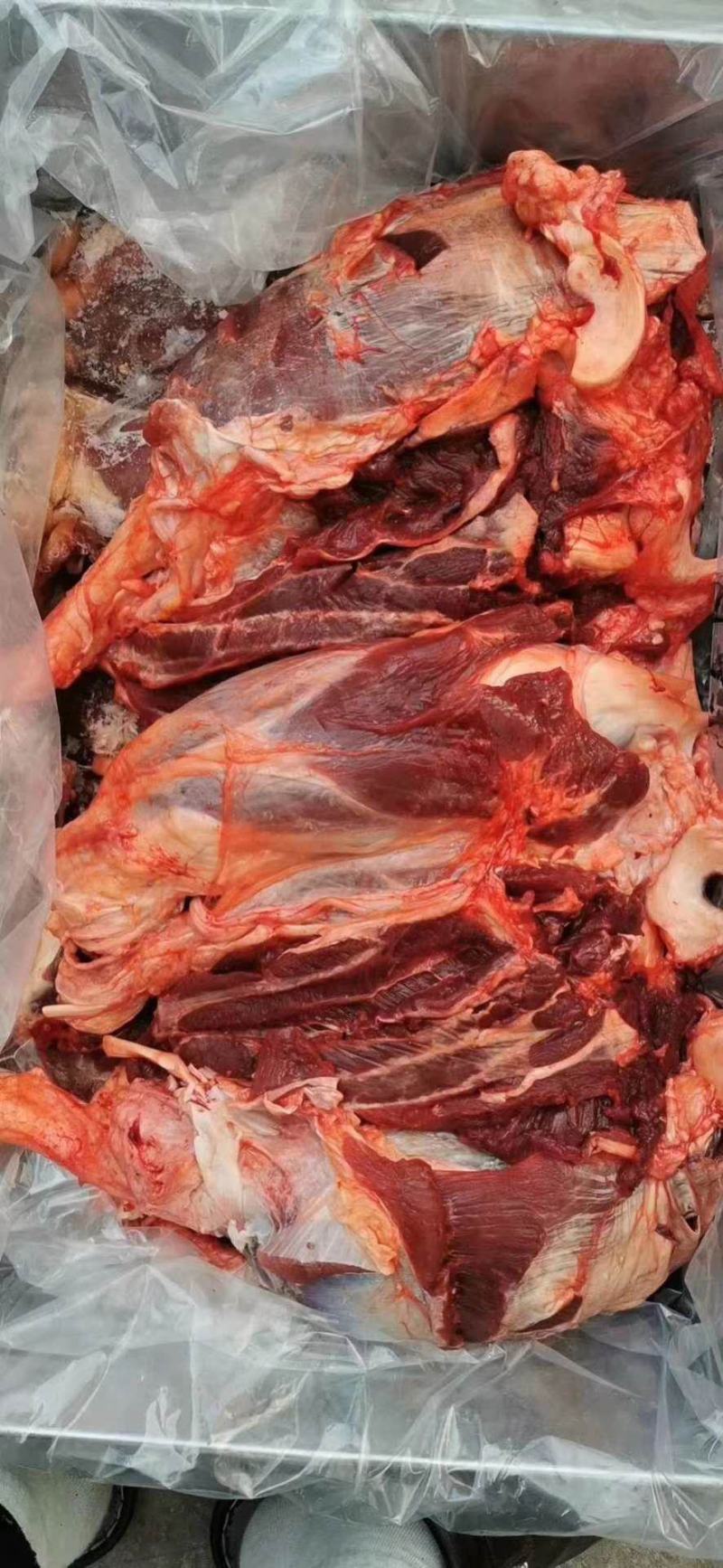 牛腱子，黄牛肉，各种部位都有，纯干无水，全国配送冷链