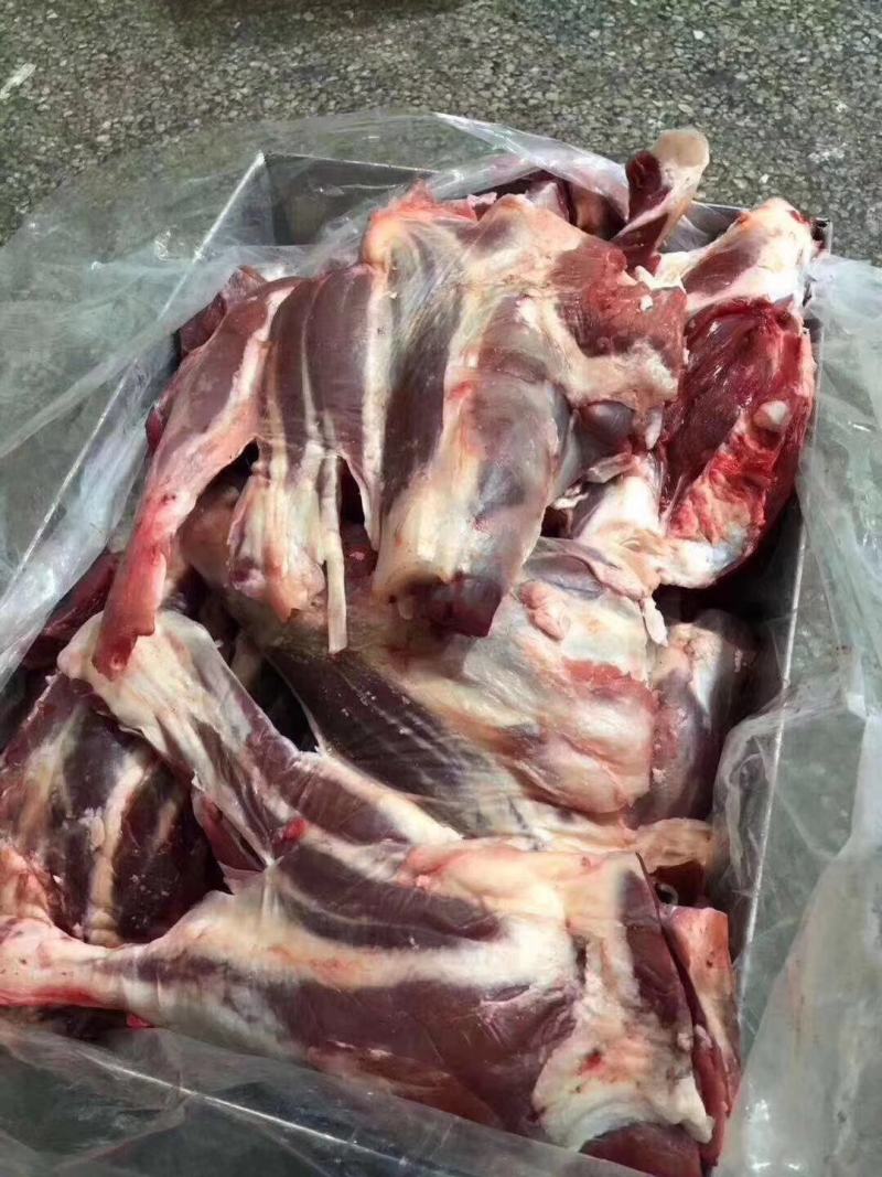 牛腱子，黄牛肉，各种部位都有，纯干无水，全国配送冷链