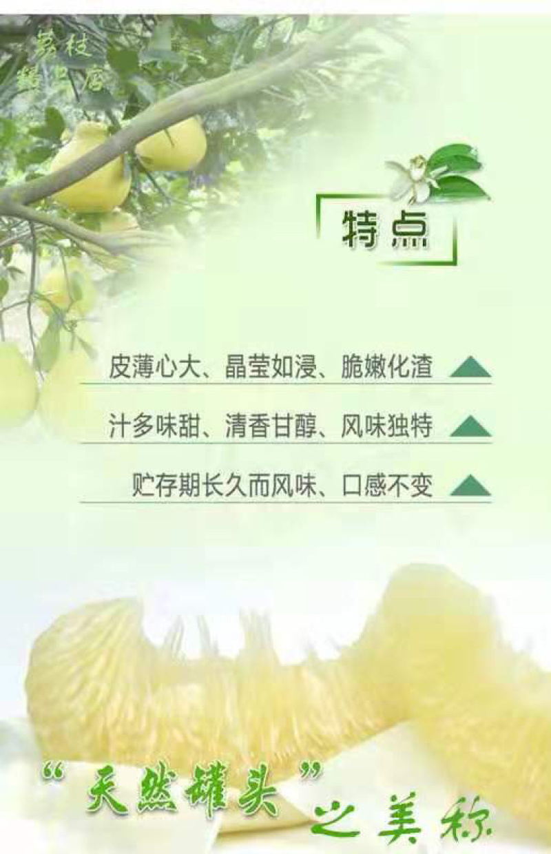 真龙柚，柚子真龙柚礼盒装6个一箱包邮