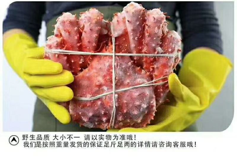 俄罗斯进口帝王蟹大量有货