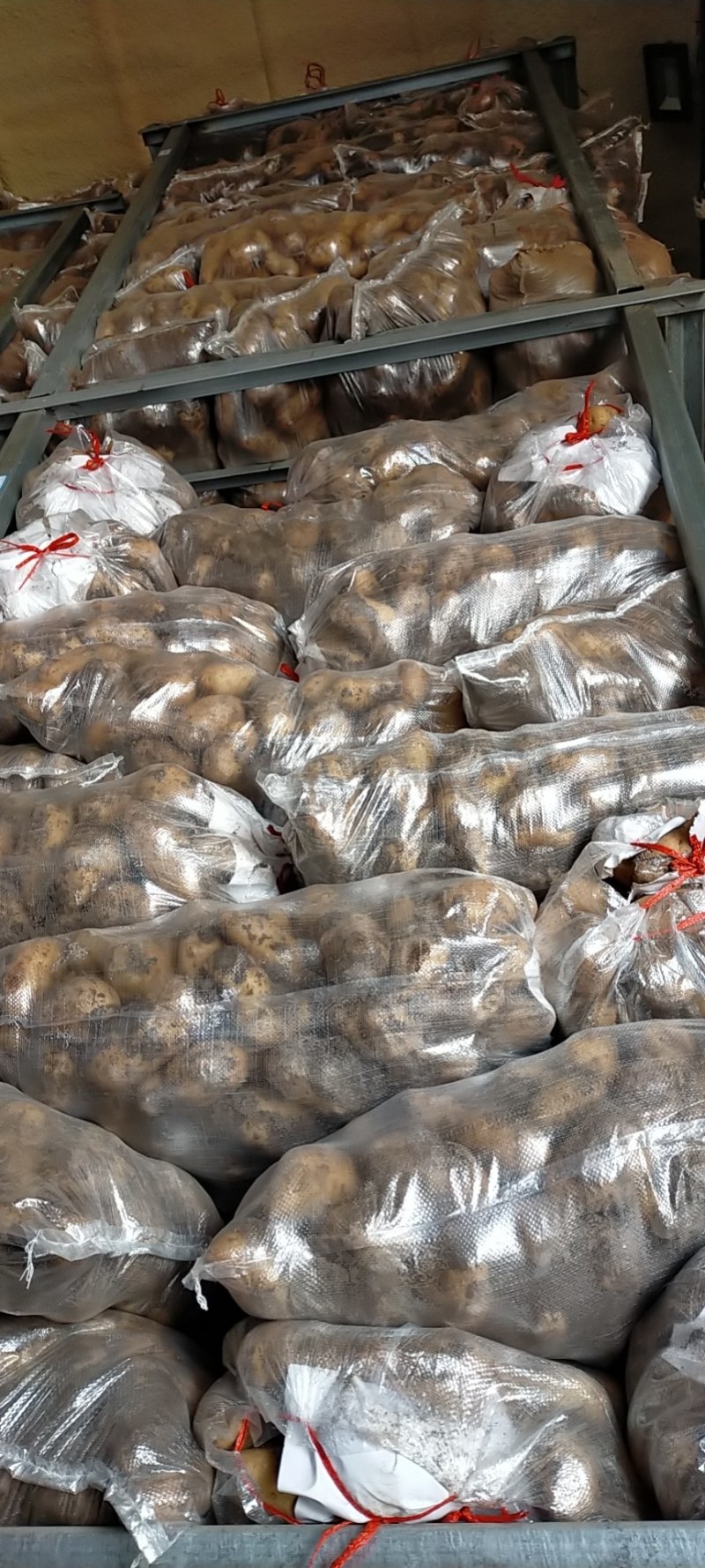 精品土豆大量有货以质论价合作共赢