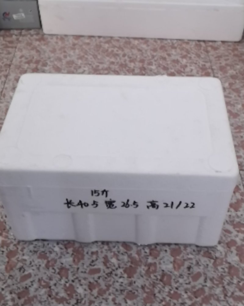 大量生产销售泡沫箱，型号种类多，价格实惠，物超所值。