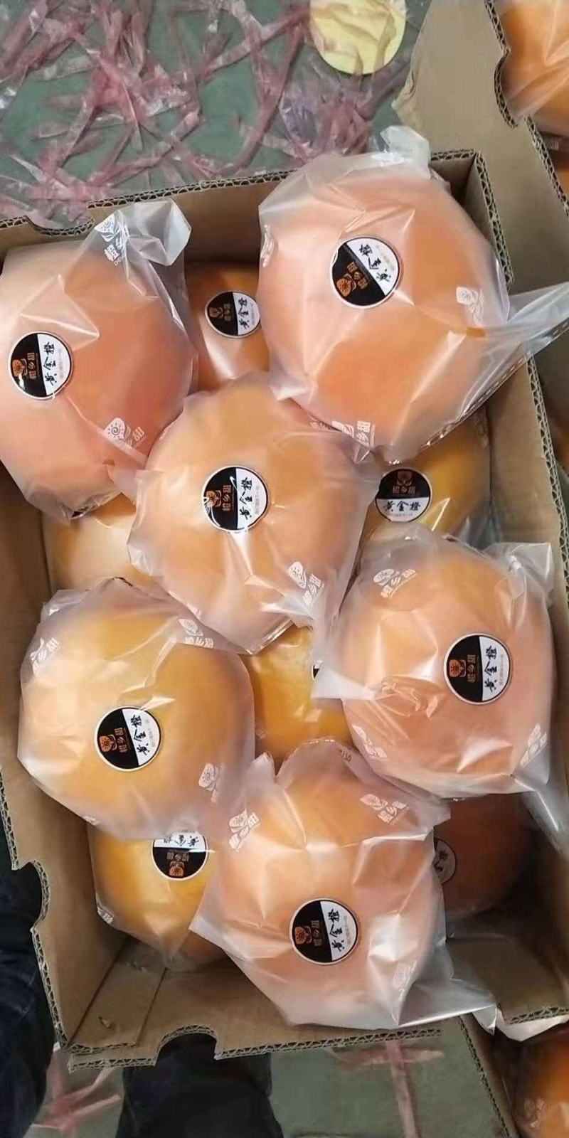 纽荷尔脐橙大量现货基地直供产地直销。视频看货选货。
