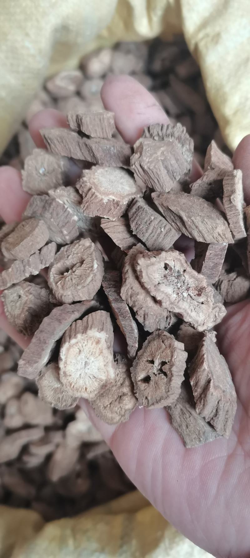牛蒡根牛蒡统货选货圆片斜片各种规格中药材