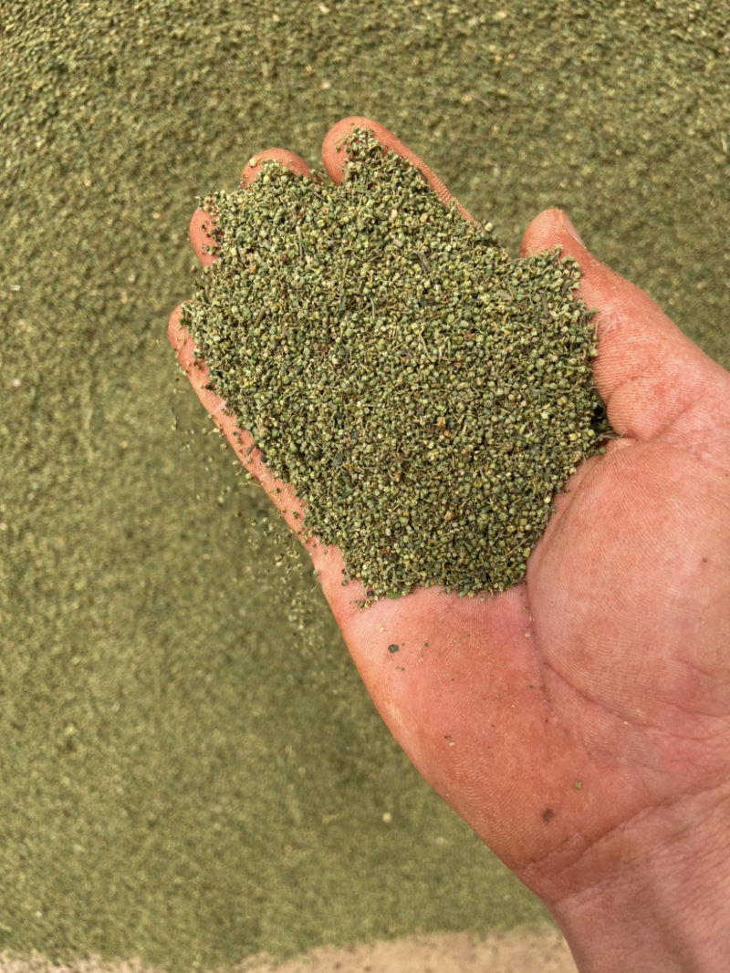 云南文山产地三七花四年三七花米1斤起包邮