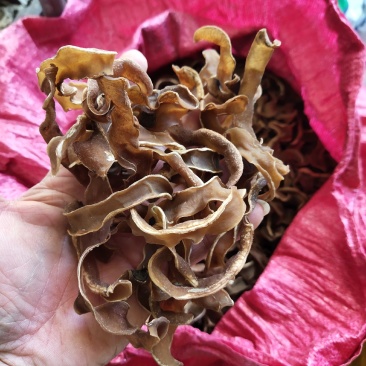 大量供应狗仔豆干农家自晒无添加不打农药猫爪豆手工天然日晒