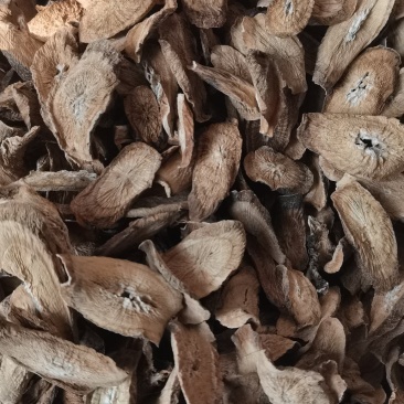 牛蒡根牛蒡统货选货圆片斜片各种规格中药材