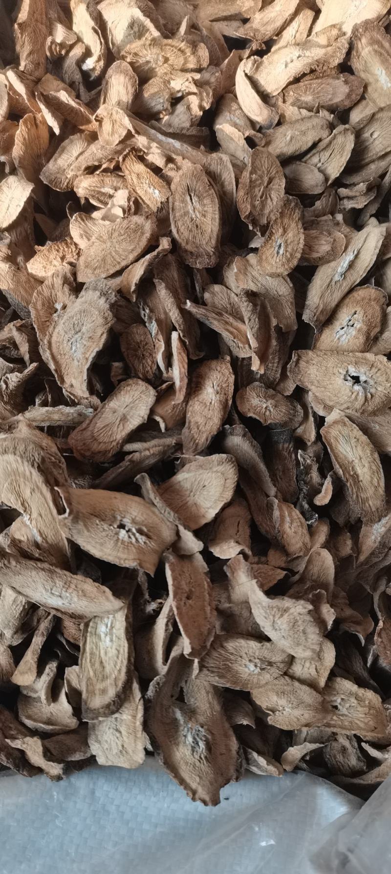牛蒡根牛蒡统货选货圆片斜片各种规格中药材