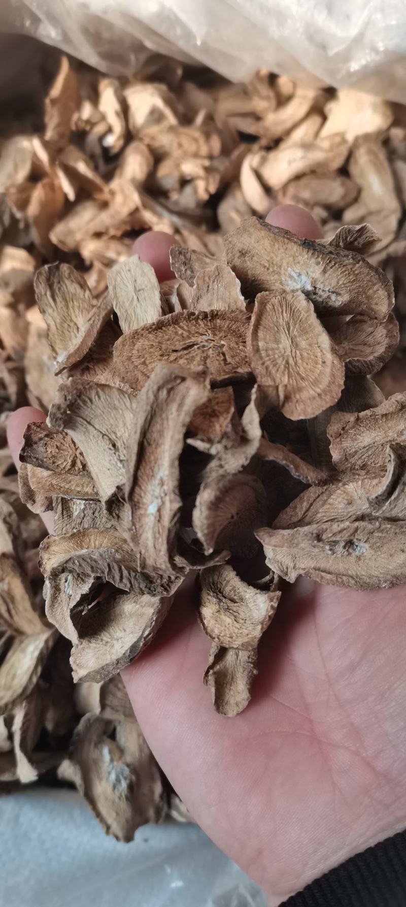 牛蒡根牛蒡统货选货圆片斜片各种规格中药材