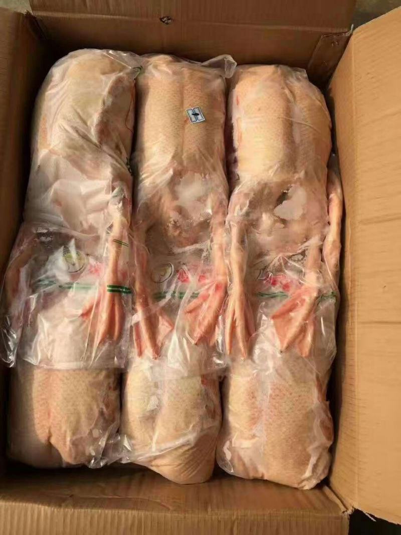 5-6只老鸭低价出售，厂家直销，资质齐全