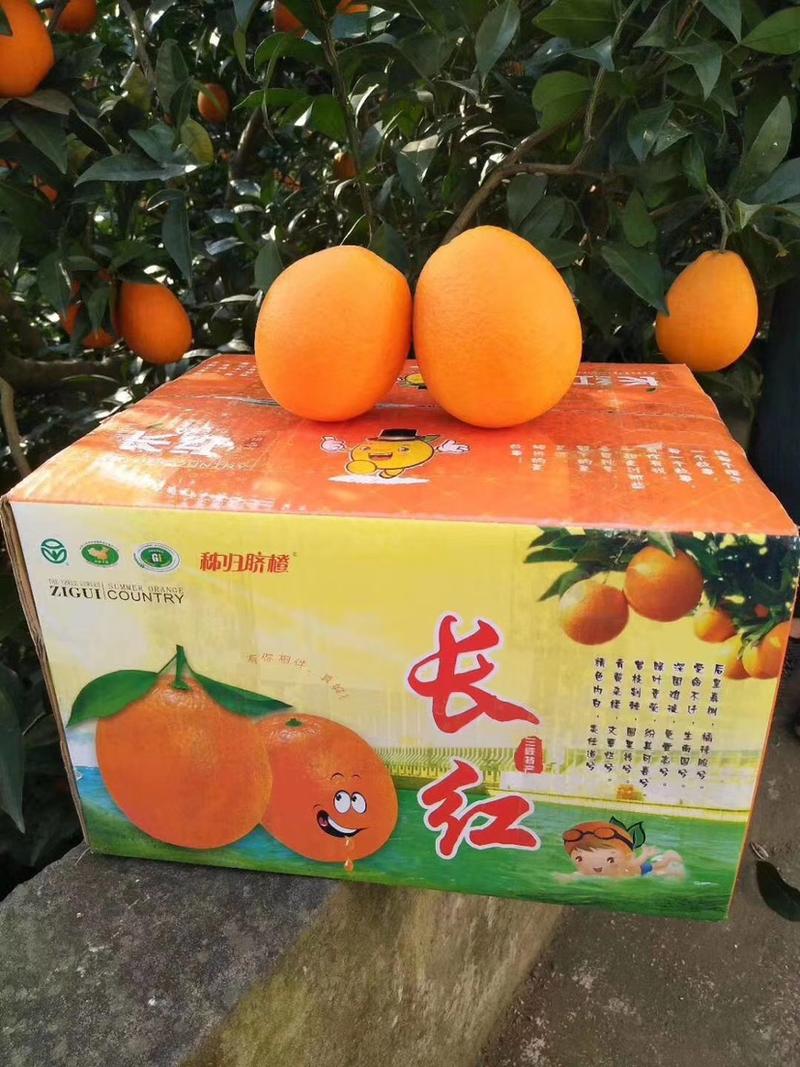 秭归甜橙橙子产地看货，现场采购，保质保量，欢迎来电