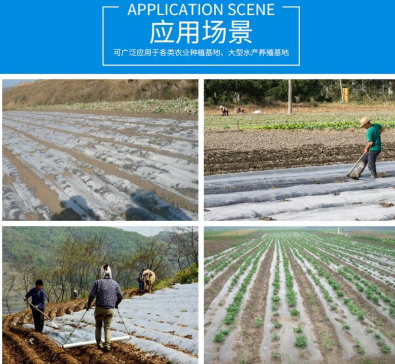 农用地膜薄膜除草膜保湿膜黑色地膜白色地膜银黑膜双白膜