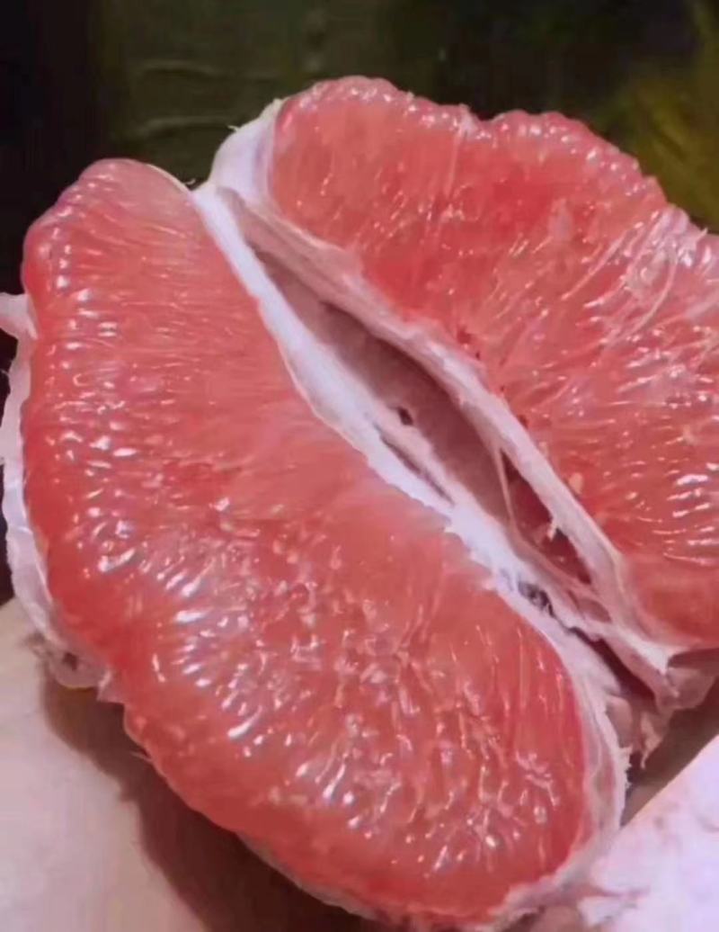 三红蜜柚子苗三红蜜柚正品嫁接苗，苗根粗壮，叶色靓丽