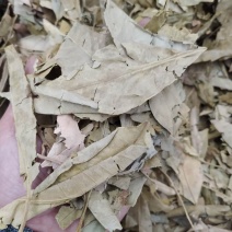 橘叶支持线上交易可搭配多品种采购大货联系客服