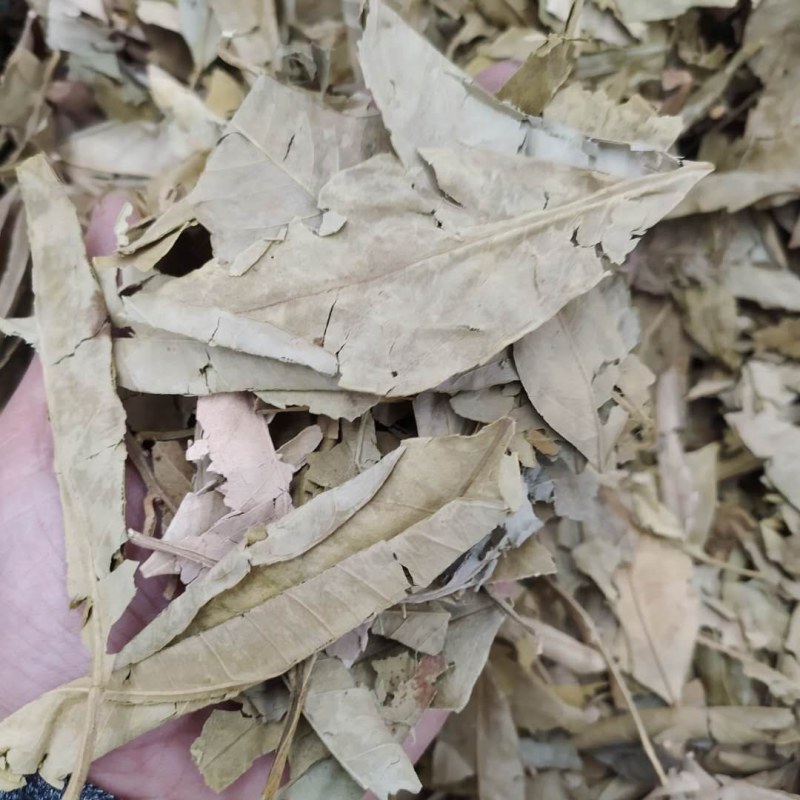 橘叶支持线上交易可搭配多品种采购大货联系客服