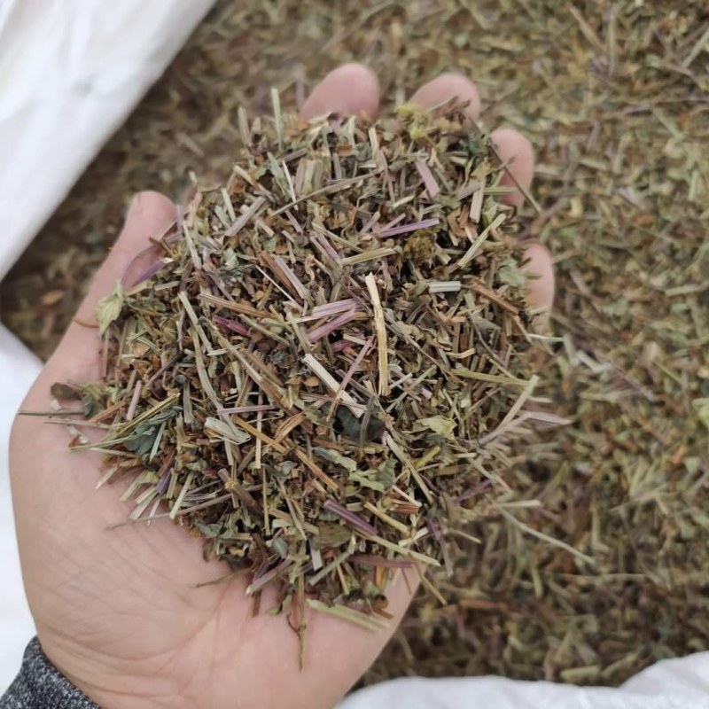 半枝莲产地直供支持线上交易可搭配多品种采购大货联系