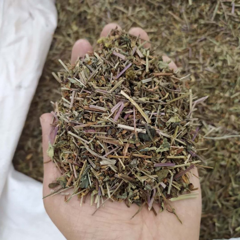 半枝莲产地直供支持线上交易可搭配多品种采购大货联系