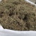 鹅不食草产地直供可搭配多品种采购大货联系客服