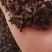 大红丁香，小丁香，大量供应，批零兼营，价格美丽，质量优。