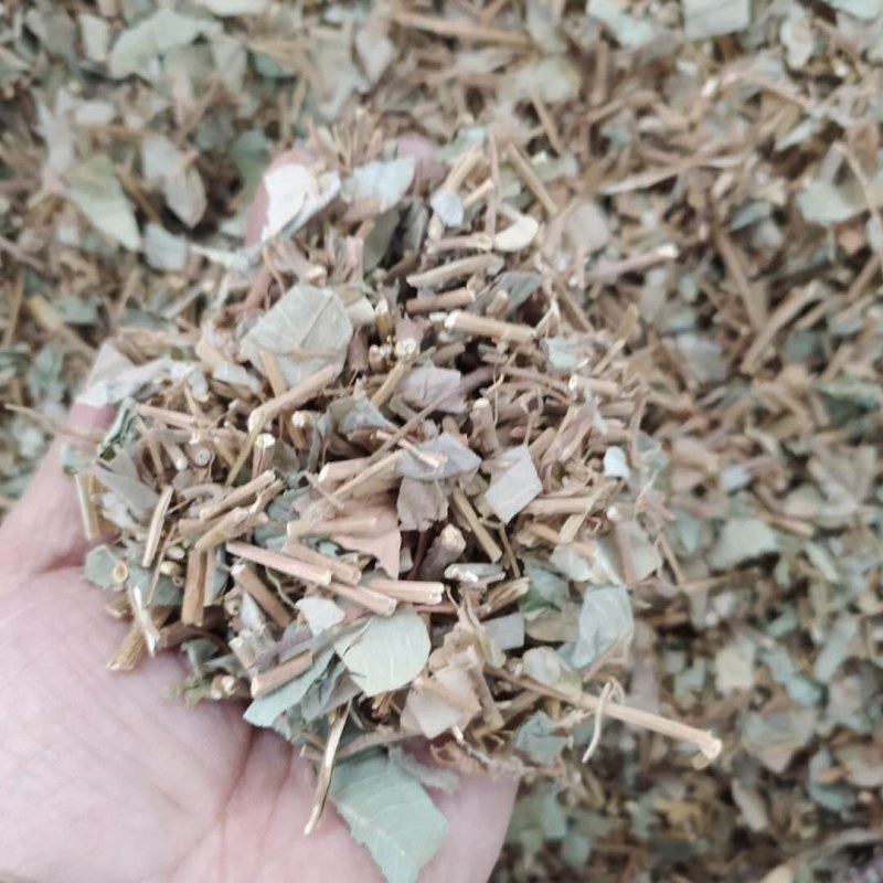 广金钱草产地直供支持线上交易可搭配多品种采购大货联系